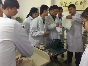 中专专业目录