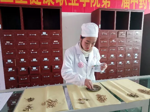 中专专业目录