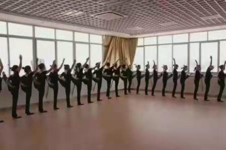 中专专业目录